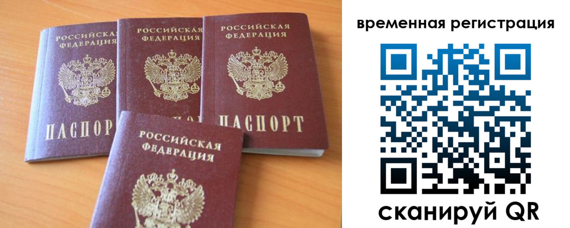 прописка для школы в Мурино
